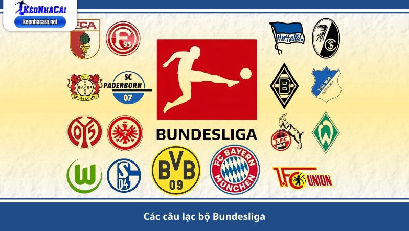 Các câu lạc bộ Bundesliga