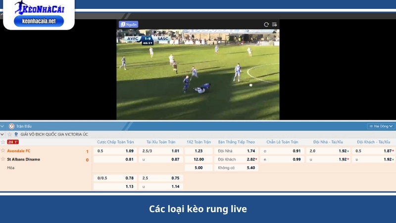 các loại kèo rung live