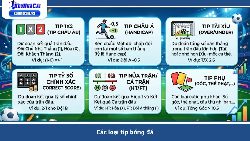các loại tip bóng đá