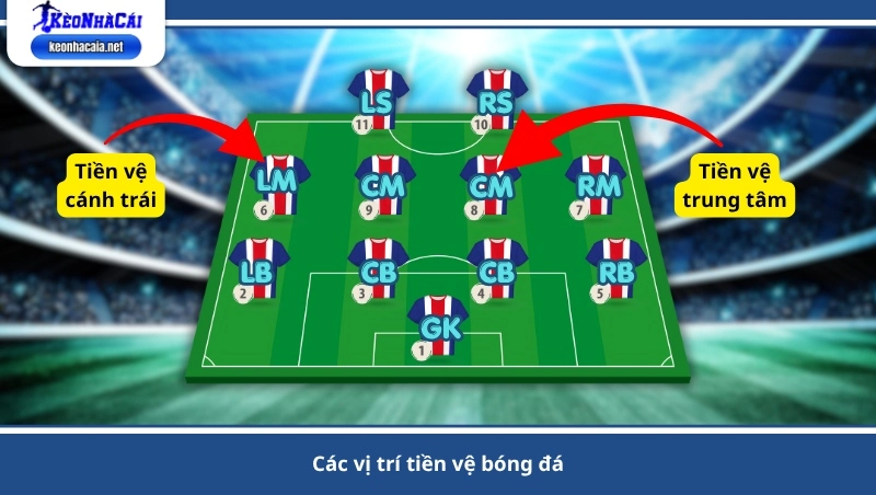 các vị trí tiền vệ bóng đá