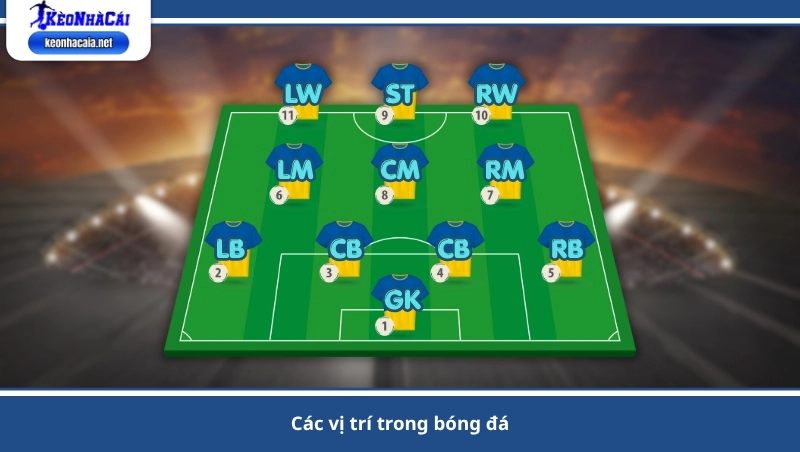 các vị trí trong bóng đá