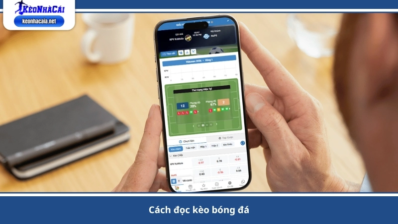 cách đọc kèo bóng đá