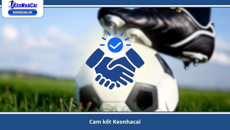 cam kết Keonhacai