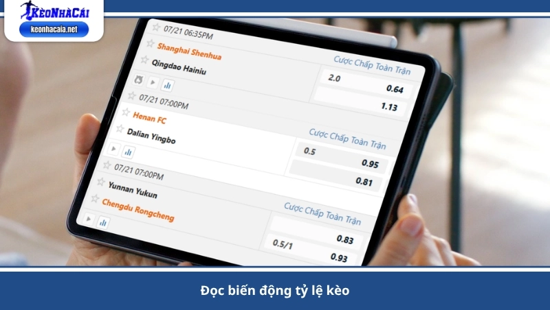 đọc biến động tỷ lệ kèo