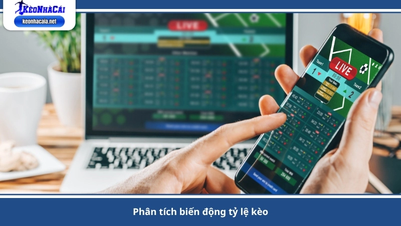 phân tích biến động tỷ lệ kèo