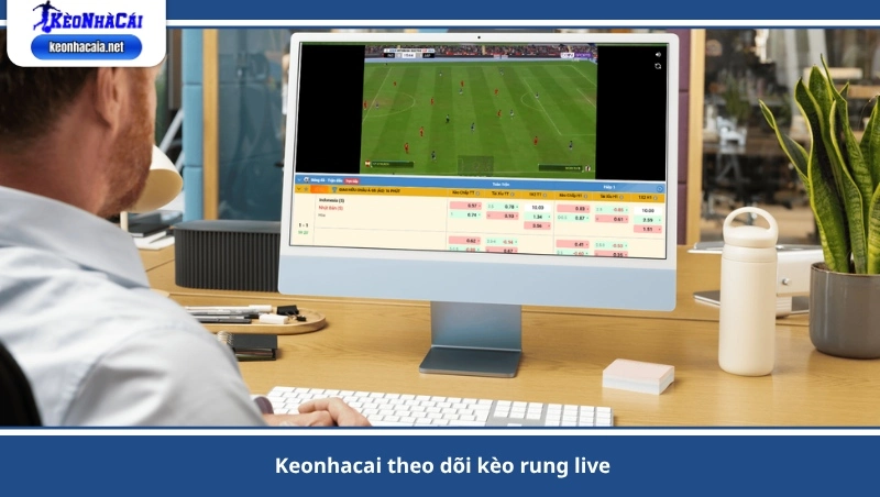 Keonhacai theo dõi kèo rung live